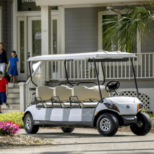 Yamaha Golf-Car DRIVE2 Concierge 6