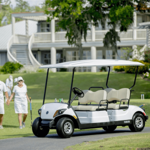 Yamaha Golf-Car DRIVE2 Concierge 4