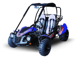 TrailMaster BLAZER 200 GoKart
