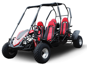TrailMaster BLAZER4 200 GoKart