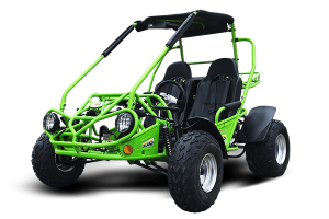 TrailMaster 200(E) XRS GoKart