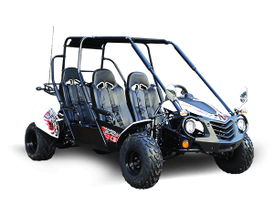 TrailMaster BLAZER4 200 (E)X GoKart