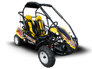 TrailMaster BLAZER 200R GoKart