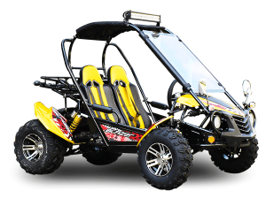 TrailMaster BLAZER 200X GoKart