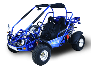 TrailMaster 300 XRX-E GoKart