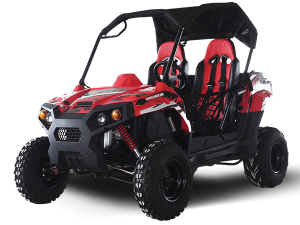 TrailMaster CHALLENGER 300E UTV