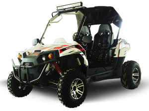 TrailMaster CHALLENGER 300EX UTV
