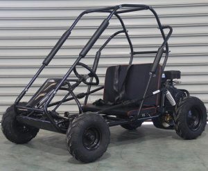 TrailMaster MID XRS GoKart