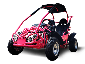 TrailMaster MID XRX-R GoKart