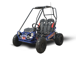 TrailMaster MINI XRX-R+ GoKart
