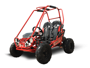 TrailMaster MINI XRX+ GoKart