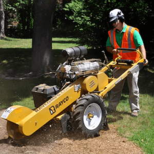 Rayco RG25HD Stump Cutter