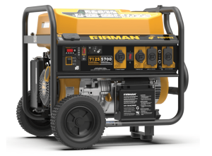 Firman Gas Portable Generator 7125W Remote Start 120/240V - P05702