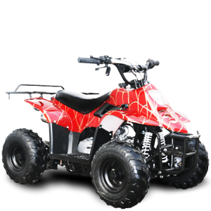 TrailMaster Mini Sport ATV