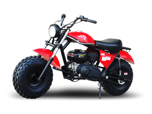 TrailMaster MINI BIKE